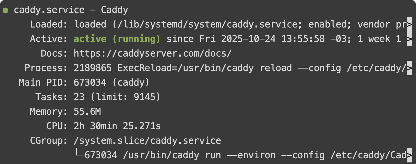 systemctl status caddy